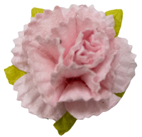 5 Crazy Ladies Flower Packs - Carnations 10 Pack
