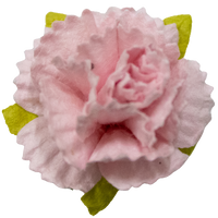 5 Crazy Ladies Flower Packs - Carnations 10 Pack