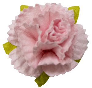 5 Crazy Ladies Flower Packs - Carnations 10 Pack