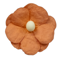 5 Crazy Ladies Flower Packs - Wood Sorrels
