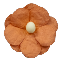 5 Crazy Ladies Flower Packs - Wood Sorrels