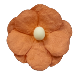 5 Crazy Ladies Flower Packs - Wood Sorrels