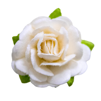 5 Crazy Ladies Flower Packs - Large Roses 5pk
