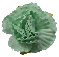 5 Crazy Ladies Flower Packs - Carnations 5 Pack
