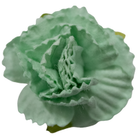 5 Crazy Ladies Flower Packs - Carnations 5 Pack