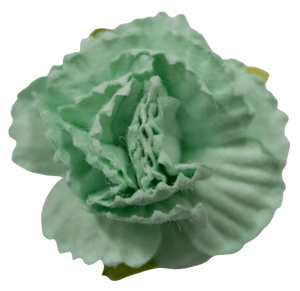 5 Crazy Ladies Flower Packs - Carnations 5 Pack