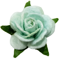 5 Crazy Ladies Flower Packs - Roses extra small