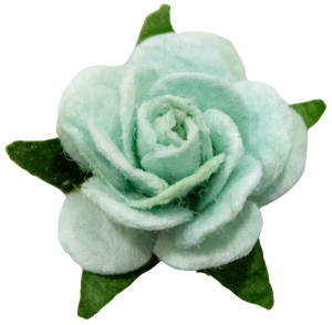 5 Crazy Ladies Flower Packs - Roses extra small