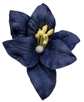 5 Crazy Ladies Flower Packs - Lillies Large 5 Pk
