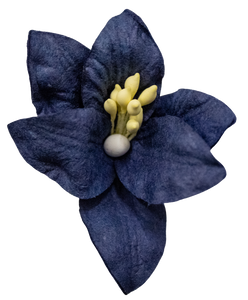 5 Crazy Ladies Flower Packs - Lillies Large 5 Pk