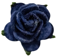 5 Crazy Ladies Flower Packs - Small Roses
