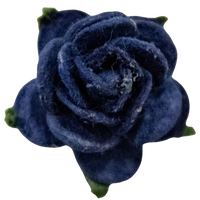 5 Crazy Ladies Flower Packs - Small Roses