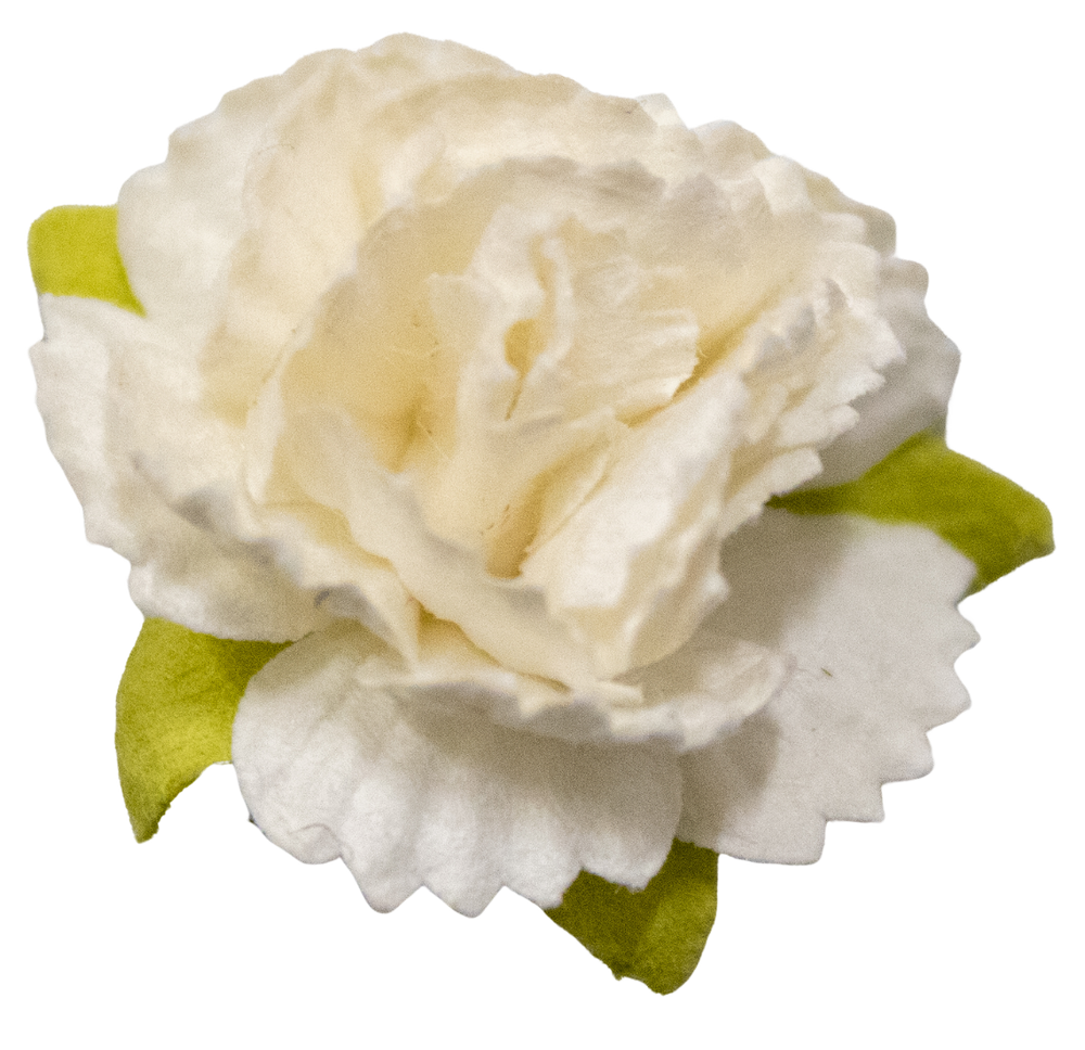 5 Crazy Ladies Flower Packs - Carnations 10 Pack