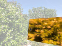 House of Paper - Mirror Cardstock 12x12
