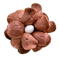 5 Crazy Ladies Flower Packs - Fluffy Blossom Small 5pk
