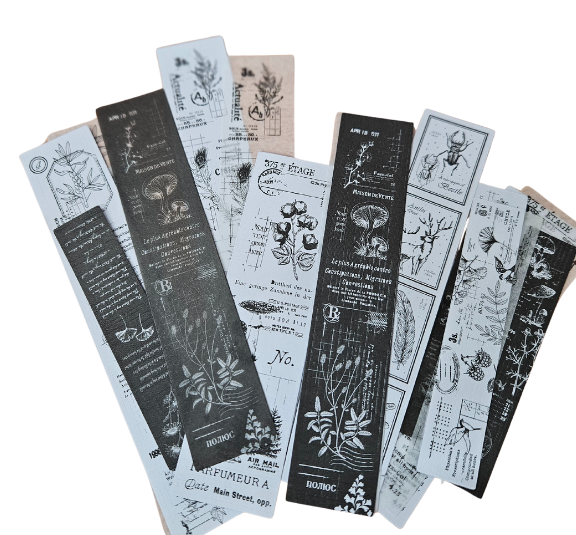 5 Crazy Ladies Journal Stickers - Monochrome Botanicals