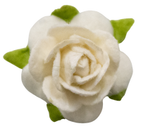 5 Crazy Ladies Flower Packs - Roses extra small
