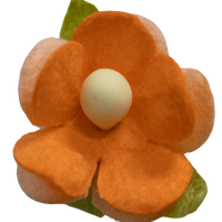 5 Crazy Ladies Flower Packs - Wood Sorrels