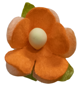5 Crazy Ladies Flower Packs - Wood Sorrels