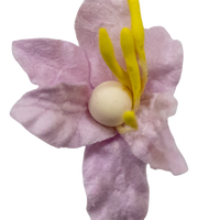 5 Crazy Ladies Flower Packs - Lillies Small 10 pk
