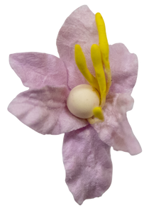 5 Crazy Ladies Flower Packs - Lillies Small 10 pk