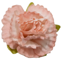 5 Crazy Ladies Flower Packs - Carnations 5 Pack
