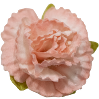 5 Crazy Ladies Flower Packs - Carnations 5 Pack