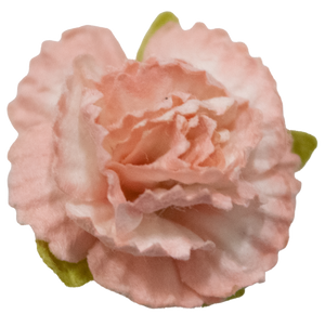 5 Crazy Ladies Flower Packs - Carnations 5 Pack