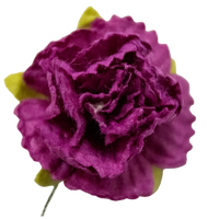 5 Crazy Ladies Flower Packs - Carnations 10 Pack
