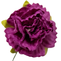 5 Crazy Ladies Flower Packs - Carnations 10 Pack