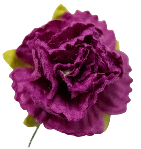 5 Crazy Ladies Flower Packs - Carnations 10 Pack