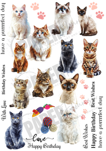 5 Crazy Ladies A4 Cut Apart Sheet - Purrfect Cats