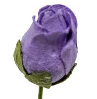 5 Crazy Ladies Flower Packs - Rose Buds 10pk

