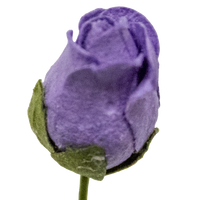 5 Crazy Ladies Flower Packs - Rose Buds 10pk