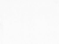 House of Paper - Romanesque (Shimmer) Cardstock 12x12
