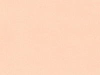 House of Paper - Romanesque (Shimmer) Cardstock 12x12
