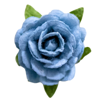 5 Crazy Ladies Flower Packs - Roses 5pk
