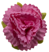 5 Crazy Ladies Flower Packs - Carnations 5 Pack
