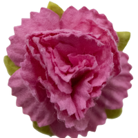 5 Crazy Ladies Flower Packs - Carnations