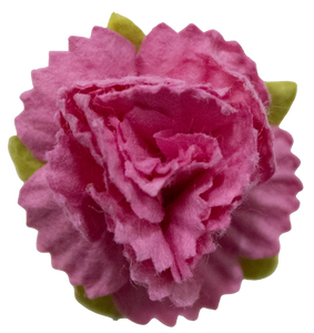 5 Crazy Ladies Flower Packs - Carnations