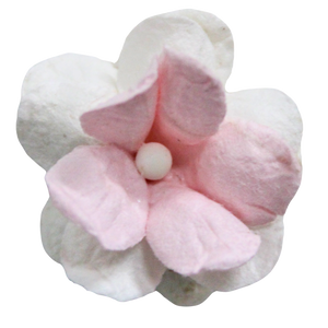 5 Crazy Ladies Flower Packs - Fluffy Blossom Small