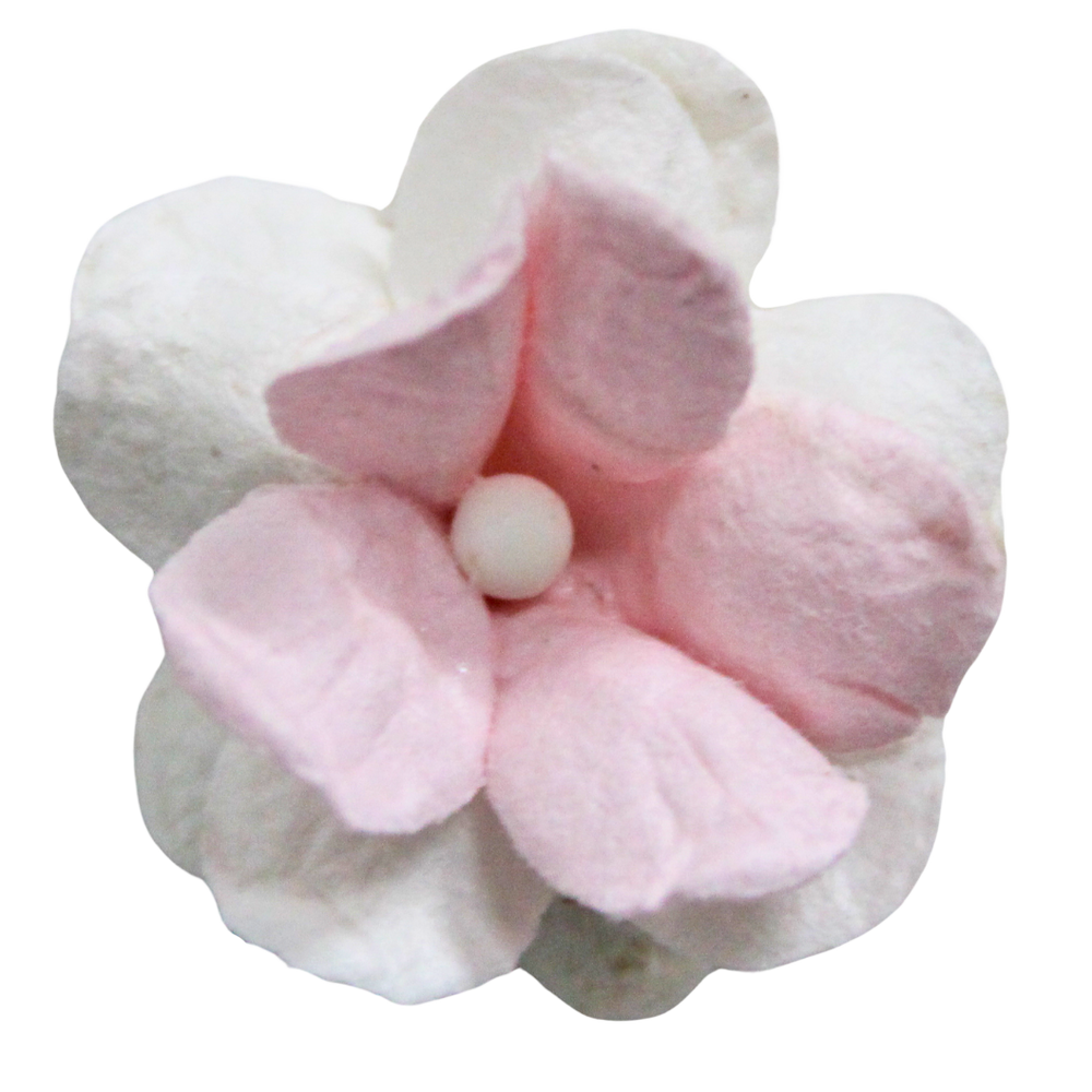 5 Crazy Ladies Flower Packs - Fluffy Blossom Small