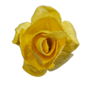 5 Crazy Ladies Flower Packs - Roses R5