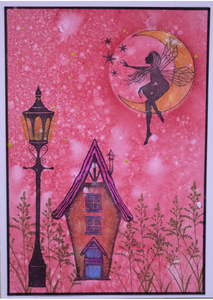 Wednesday 16th July 2025 - Lavinia with Sharon - 9:30am - 12:30pm