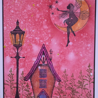Saturday 19th July 2025 - Lavinia with Sharon - 9:30am - 12:30pm
