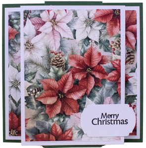 Thursday 6th November 2025 - Cards with Marg - 10am-12pm