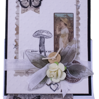 Wednesday 22nd October 2025 - Cards with Marg (Limited Edition) - 10am-12pm