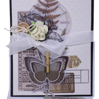 Wednesday 22nd October 2025 - Cards with Marg (Limited Edition) - 10am-12pm