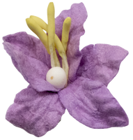 5 Crazy Ladies Flower Packs - Lillies Small 10 pk
