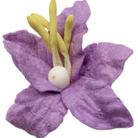 5 Crazy Ladies Flower Packs - Lillies Small 10 pk